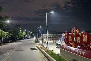 PG官方版网站登录入口-PG（中国）一站式游戏服务平台
集团罗宁弟爱心捐赠路灯，点亮乡村路温暖乡民心
